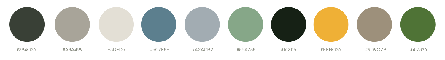 Mindset evolution : Palette de couleurs