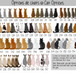 Chats Portrait de Famille enlacée avec animaux