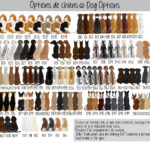 Chiens Portrait de Famille enlacée avec animaux