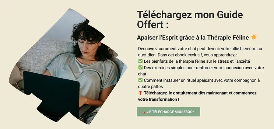 Creation de site de formation et de coaching