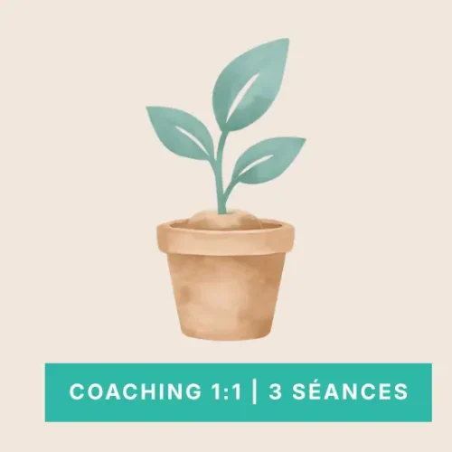 Reserver un pack de 3 seances Coaching individuel - Graphix Pro
